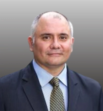 Mr. Diego P. Iribarren