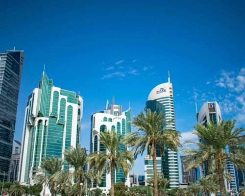 رحلة المستثمر الأجنبي