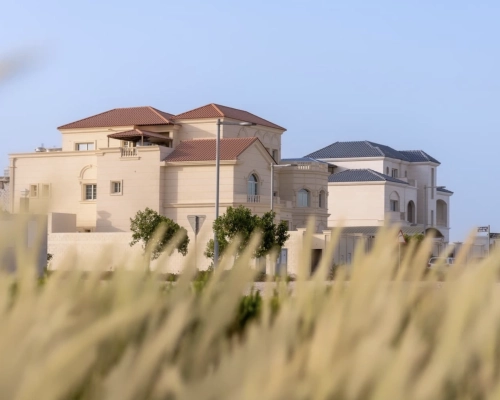برنامج إدارة مشروعات التنمية العقارية وإدارة المرافق